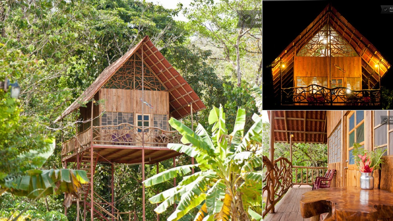 Illustration for article titled 13 Ingenious Treehouses That Go Out on a Limb